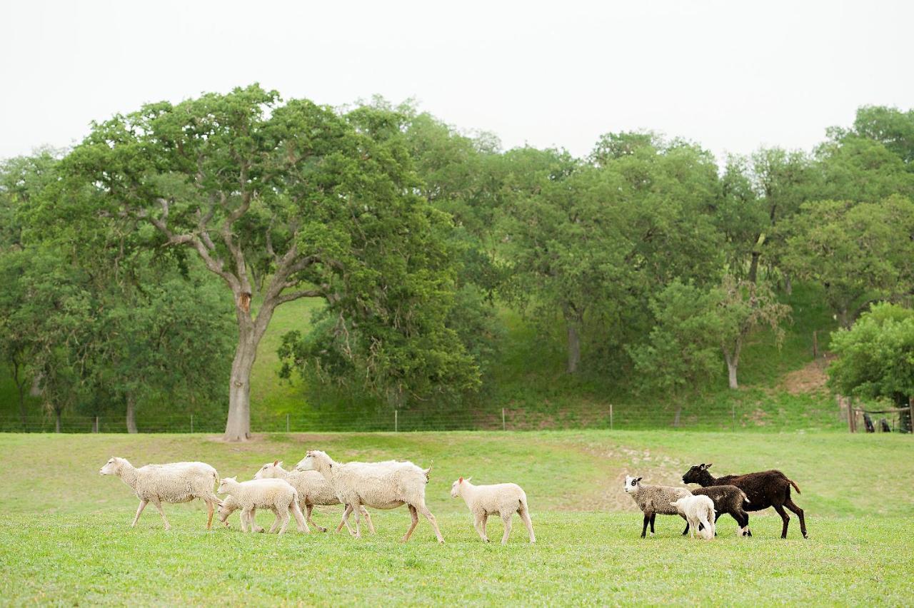 Gasthof Reves De Moutons *