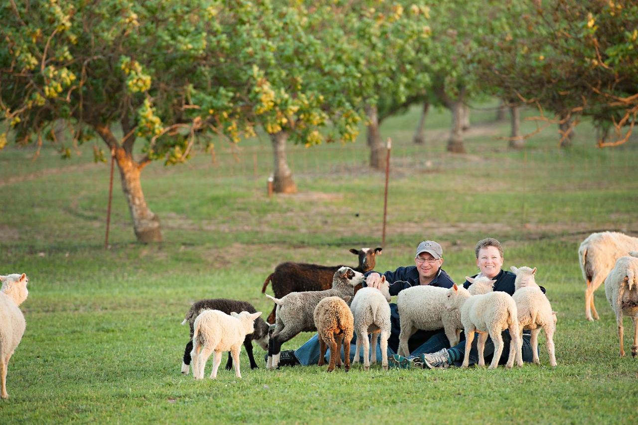 Reves De Moutons Gasthof El Paso de Robles