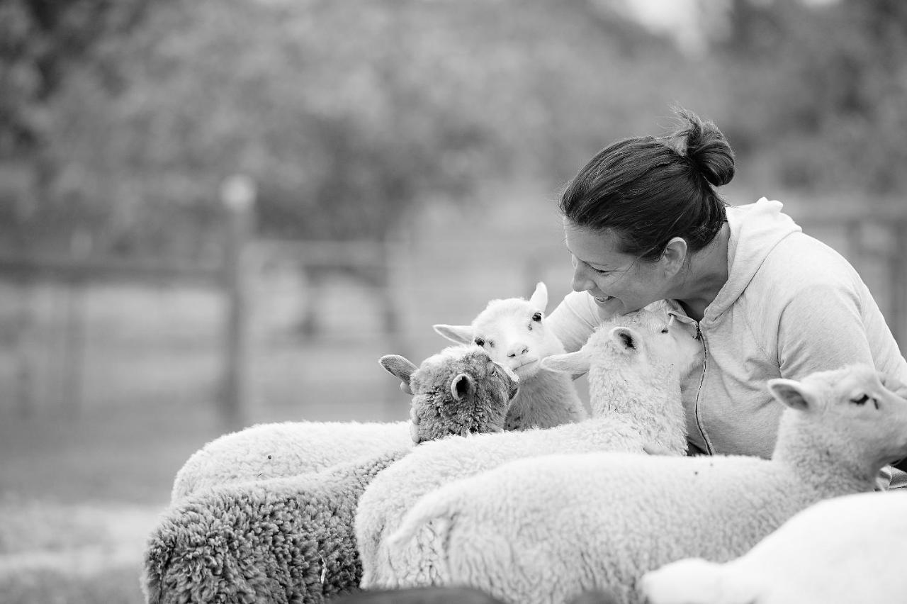 Inn Reves De Moutons