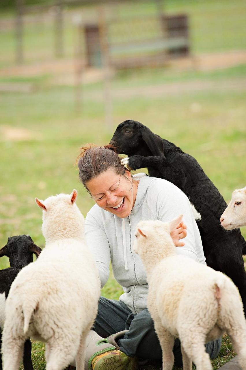 Reves De Moutons * El Paso de Robles